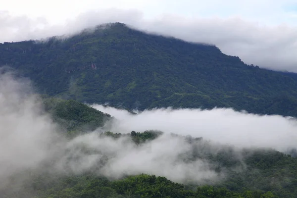 Mist Κρέμεται Πάνω Από Βουνό Των Τροπικών Δασών Κατά Την — Φωτογραφία Αρχείου