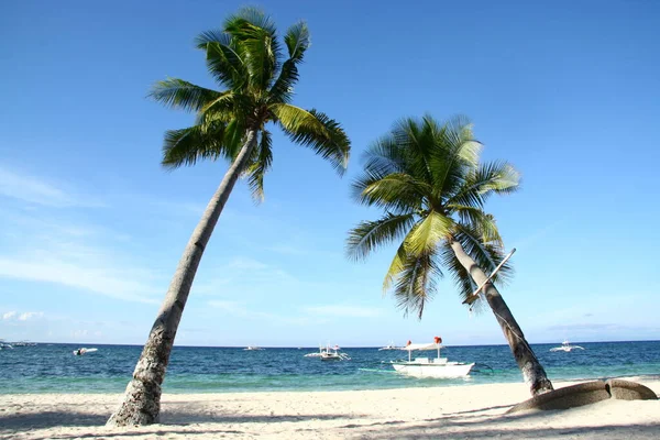 Pareja Inclinada Cocotero Isla Panglao Brillante Día Cielo Azul Soleado — Foto de Stock