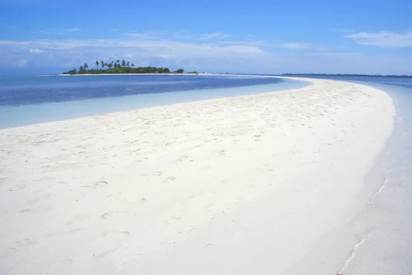 Spiaggia Curva Pontod Isola Vergine Situata Nell Isola Panglao Bohol — Foto Stock