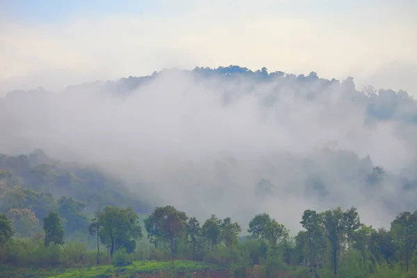 Mist Ρέει Πάνω Από Βουνό Των Τροπικών Δασών Κατά Την — Φωτογραφία Αρχείου