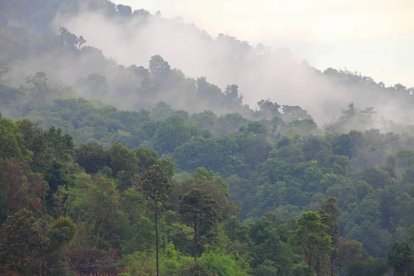 Mist Ρέει Πάνω Από Βουνό Των Τροπικών Δασών Κατά Την — Φωτογραφία Αρχείου