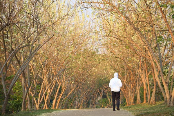 Young Man Jogging Park Morning Spring Season White Flower Tree — Stock Photo, Image