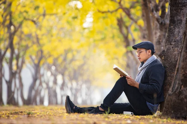 Homem Asiático Usando Suéter Lendo Livro Enquanto Senta Sob Árvore — Fotografia de Stock