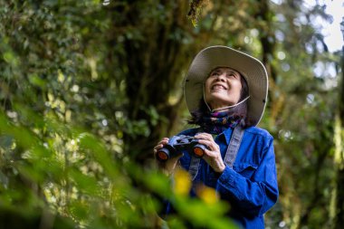 Kuş gözlemcisi, çam ormanlarında araştırma yaparken dürbünle dürbünü inceliyor ve alan araştırmalarındaki nadir biyolojik çeşitliliği ve ekolojisti keşfediyor.