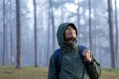Asyalı yürüyüşçü, çam ormanlarını incelerken ender biyolojik çeşitlilik ve saha çalışması konseptini keşfediyor.