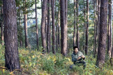 Biyolog park korucusu, doğal ve istilacı biyolojik çeşitlilik organizması ve gıda güvenliği kullanımı için kozalaklı kozalaklı ormanlardaki nadir bitki türlerini tanımlıyor ve kaydediyor.