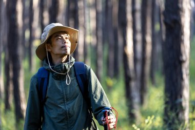 Asyalı yürüyüşçü çam ormanlarını keşfederken yürüyüş direğini kullanıyor. Arazi araştırmalarında nadir bulunan biyolojik çeşitliliği ve ekolojisti keşfediyor.