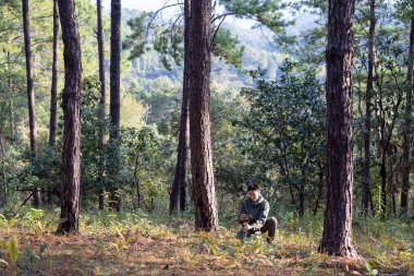 Biyolog park korucusu, doğal ve istilacı biyolojik çeşitlilik organizması ve gıda güvenliği kullanımı için kozalaklı kozalaklı ormanlardaki nadir bitki türlerini tanımlıyor ve kaydediyor.