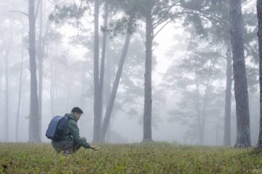 Biyolog park korucusu, doğal ve istilacı biyolojik çeşitlilik organizması ve besin güvenliği için kozalaklı kozalaklı ormanlardaki nadir bitki türlerini tanımlıyor ve kaydediyor.