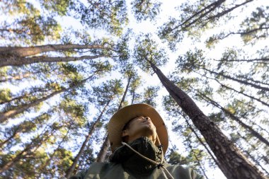 Asyalı yürüyüşçü, çam ormanlarının içinde araştırma yaparken ender biyolojik çeşitliliği ve saha çalışmasındaki ekolojisti keşfediyor.