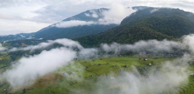 Yağmur mevsiminde Pa Bong Piang 'ın pirinç tarlası manzarası tepe kabilesi organik tarım tarımı Doi Inthanon, Chiangmai Tayland