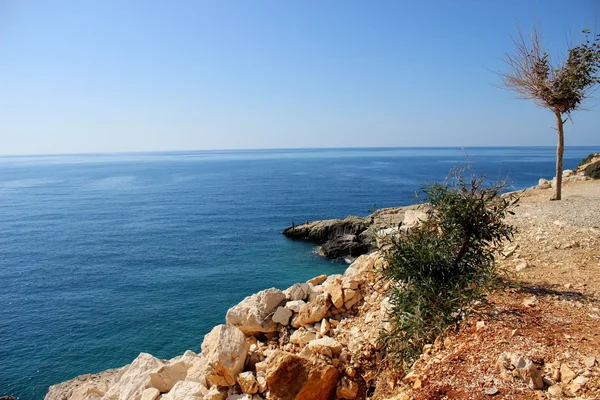 Türkiye 'de Akdeniz