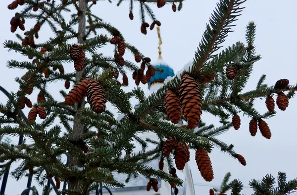 Christmas kış tatilleri