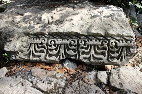 Olympos Antik şehir Türkiye'de