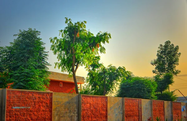 Yaz mevsimi renkleri gün batımı