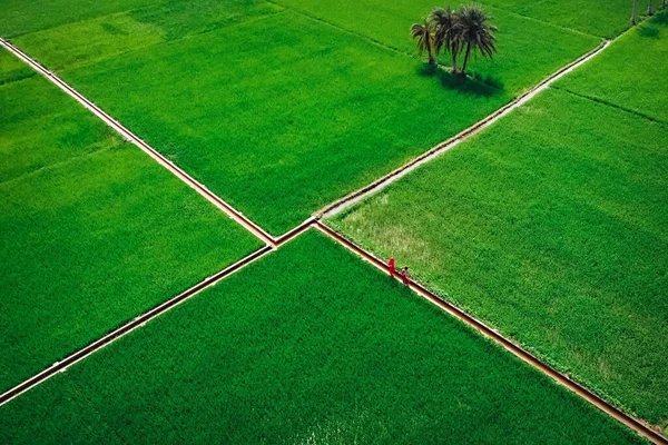 Gökyüzünden tarımsal alanlar
