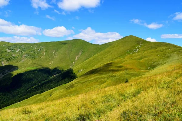 Way Hoverla Mountain Scenery — Stock Photo, Image