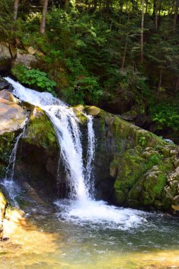 Karpat dağlarının yeşil ormanlarında inanılmaz şelale.