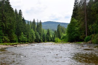 Bir dağ nehrinin hızlı akıntısı