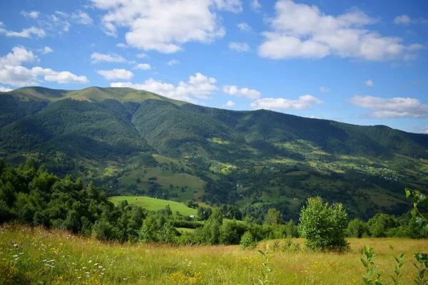 Beautiful Green Carpathian Mountains Enchant Clear Sunny Day — Stock Photo, Image