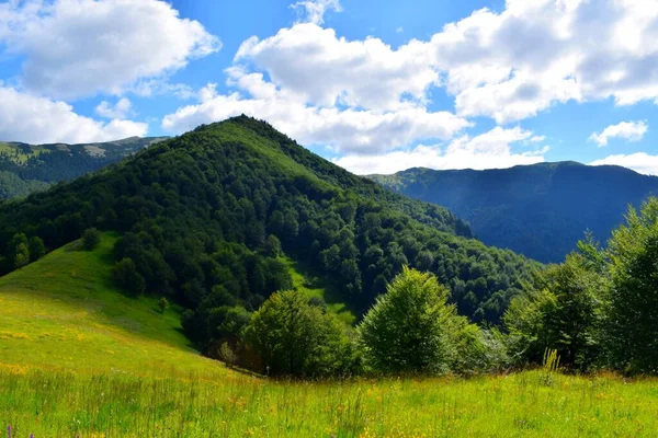 Schöne Grüne Karpaten Mit Wald Bedeckt — Stockfoto