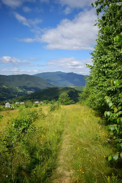 Trail Carpathian Mountains Green Meadows — Stock Photo, Image