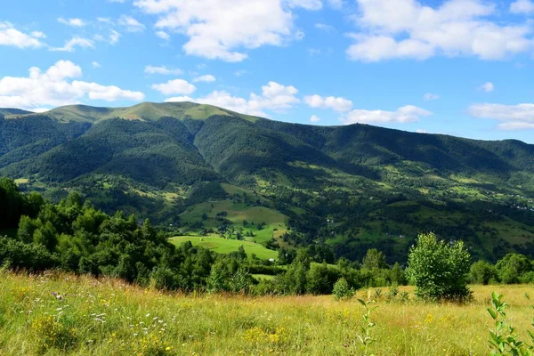 Schöne Landschaften Eines Sonnigen Sommertages Den Karpaten — Stockfoto