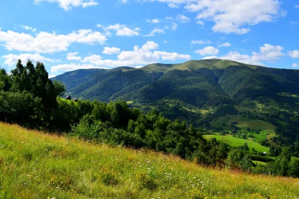 Schöne Landschaften Eines Sonnigen Tages Den Karpaten — Stockfoto