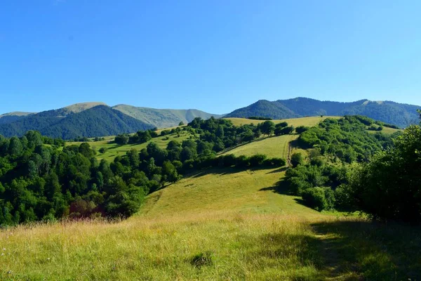 Incredible Beauty Carpathian Mountains Beautiful Summer Day — Stock Photo, Image