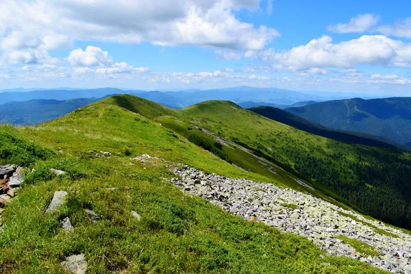 Amazing Beauty Carpathian Mountains Beautiful Summer Day — Stock Photo, Image