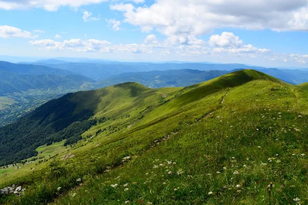 Erstaunliche Schönheit Der Karpaten Einem Sommertag — Stockfoto