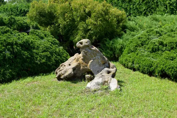 Botanik bahçesindeki yeşil çimenlikte tuhaf bir taş.