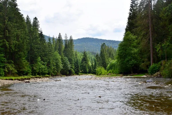 Bir dağ nehrinin hızlı akıntısı