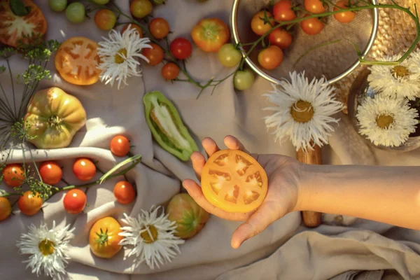 Child Holding Hand Organic Fresh Tomato Table Served Tomatoes Gooseberries — Fotografia de Stock