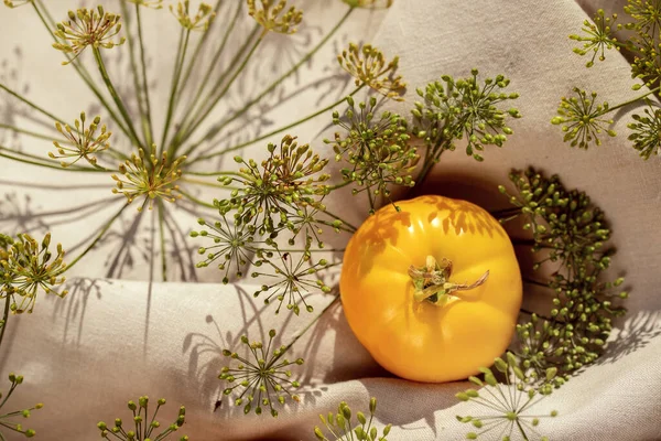 Tomates Frescos Orgânicos Com Ervas Frescas Jardim Casa Uma Toalha — Fotografia de Stock
