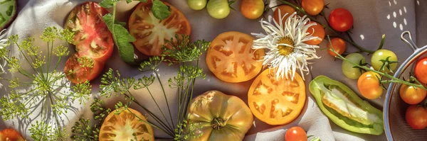 Tomates Frescos Orgânicos Com Ervas Frescas Camomilas Jardim Casa Uma — Fotografia de Stock