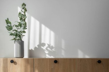 Modern minimalist gri vazodaki kuru okaliptüs dalları ahşap TV standında beyaz duvarda güneşten gelen güzel gölgeler