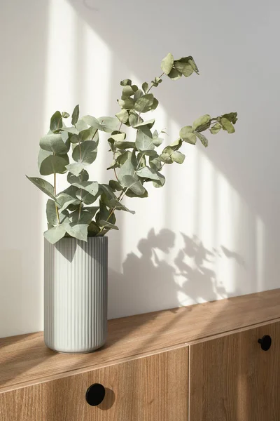 Dry Eucalyptus Branches Modern Minimalist Grey Vase Wooden Stand Beautiful — Stock Photo, Image