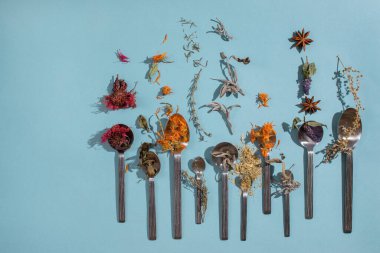 Mavi arka planda kaşıklarda kurutulmuş gevşetici çay otları. Calendula, nane, anason hyssop, monarda didyma, pelin otu, adaçayı yaprakları..