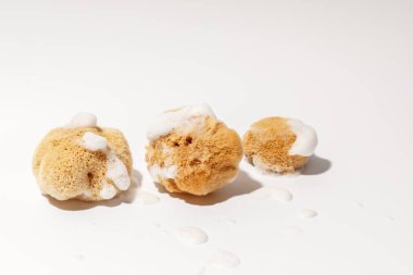 Sarı Doğal Banyo veya beyaz arka planda köpüklü üç deniz süngeri temizlemek