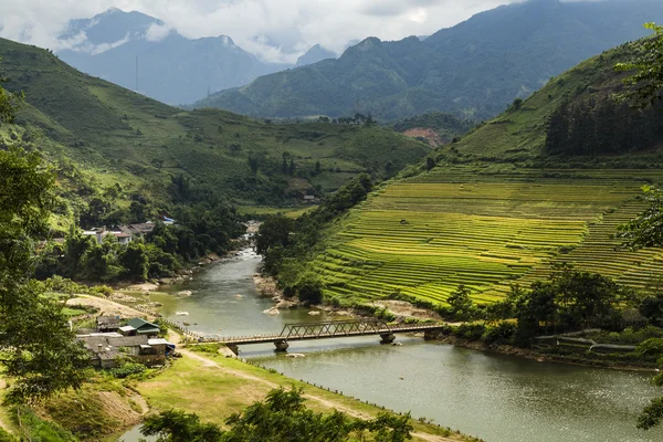 Pirinç tarlaları teraslı, sapa, Lao cai, Viet Nam