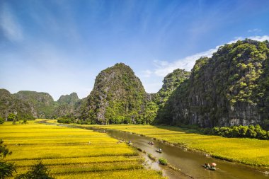 Pirinç alan ve Tamcoc, Ninhbinh, Vietnam Nehri