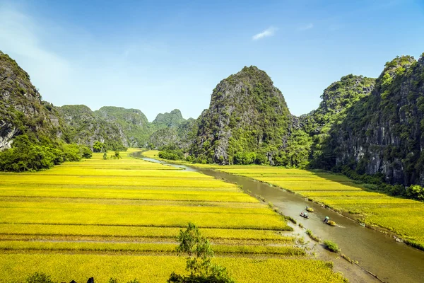 Pirinç alan ve Tamcoc, Ninhbinh, Vietnam Nehri