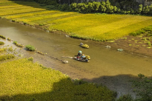 Pirinç alan ve Tamcoc, Ninhbinh, Vietnam Nehri