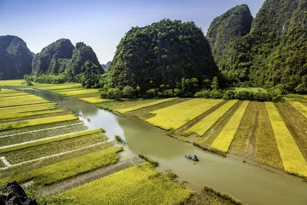 Pirinç alan ve Tamcoc, Ninhbinh, Vietnam Nehri