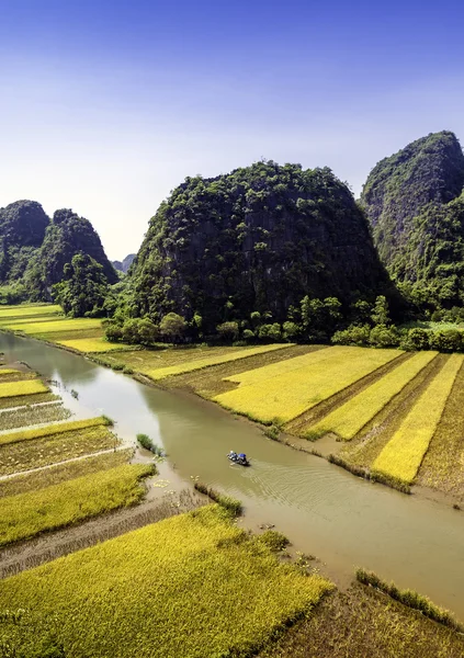Pirinç alan ve Tamcoc, Ninhbinh, Vietnam Nehri