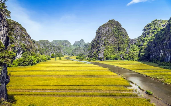 Pirinç alan ve Tamcoc, Ninhbinh, Vietnam Nehri