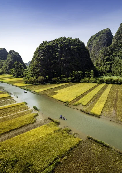 Pirinç alan ve Tamcoc, Ninhbinh, Vietnam Nehri
