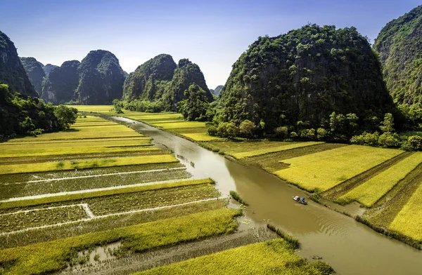 Pola ryżowe i rzeki w Tamcoc, Ninhbinh, Wietnam — Zdjęcie stockowe