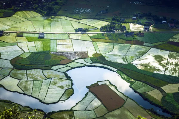 Lang evlat, Vietnam vadisinde pirinç alan